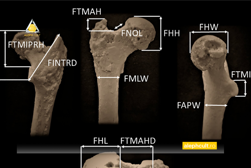 Balcanii rescriu povestea mersului biped