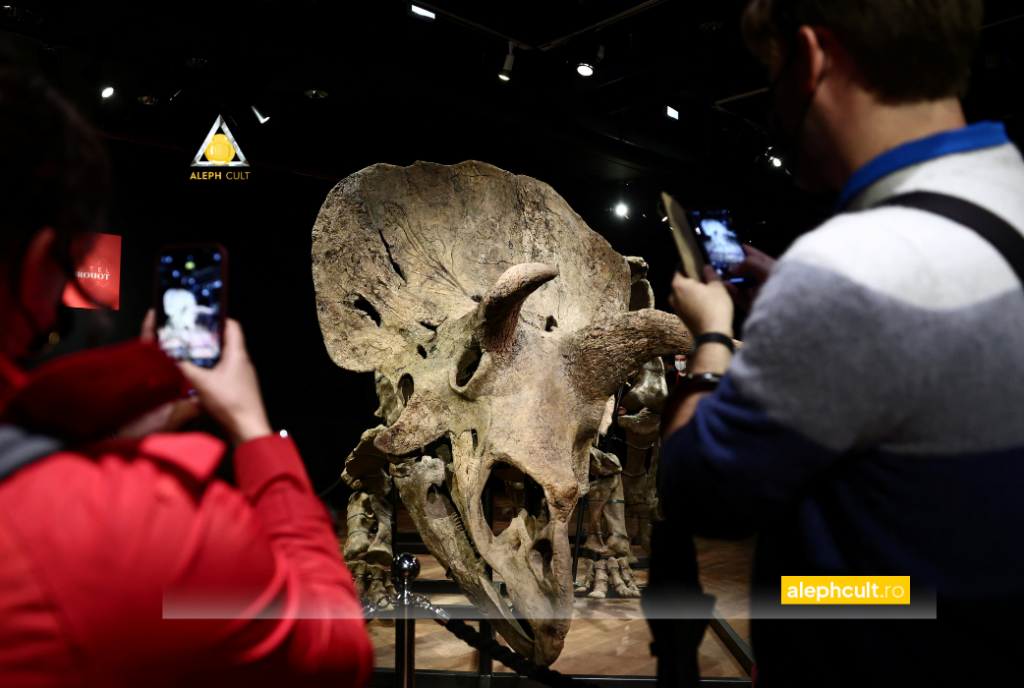 Scheletul de triceratops un dinozaur vândut, o controversă redeschisă