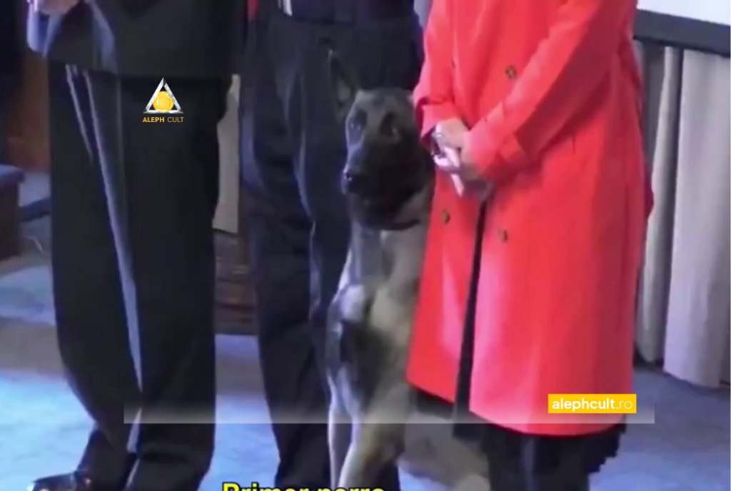 Un câine antidrog atacă un contraamiral în timpul unei ceremonii oficiale